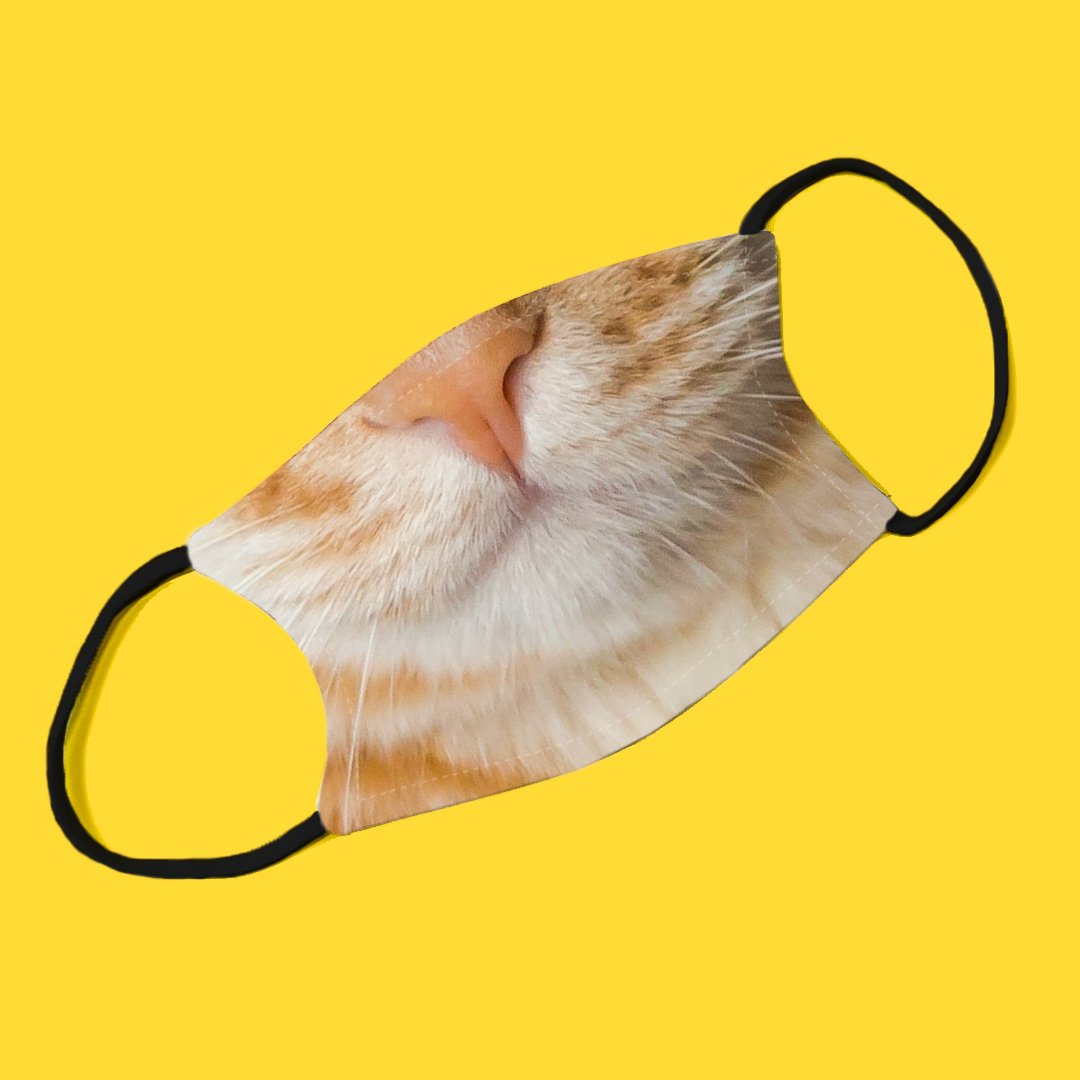 Orange Tabby Cat Adjustable Make Original Face Mask with Filter ADULT ...